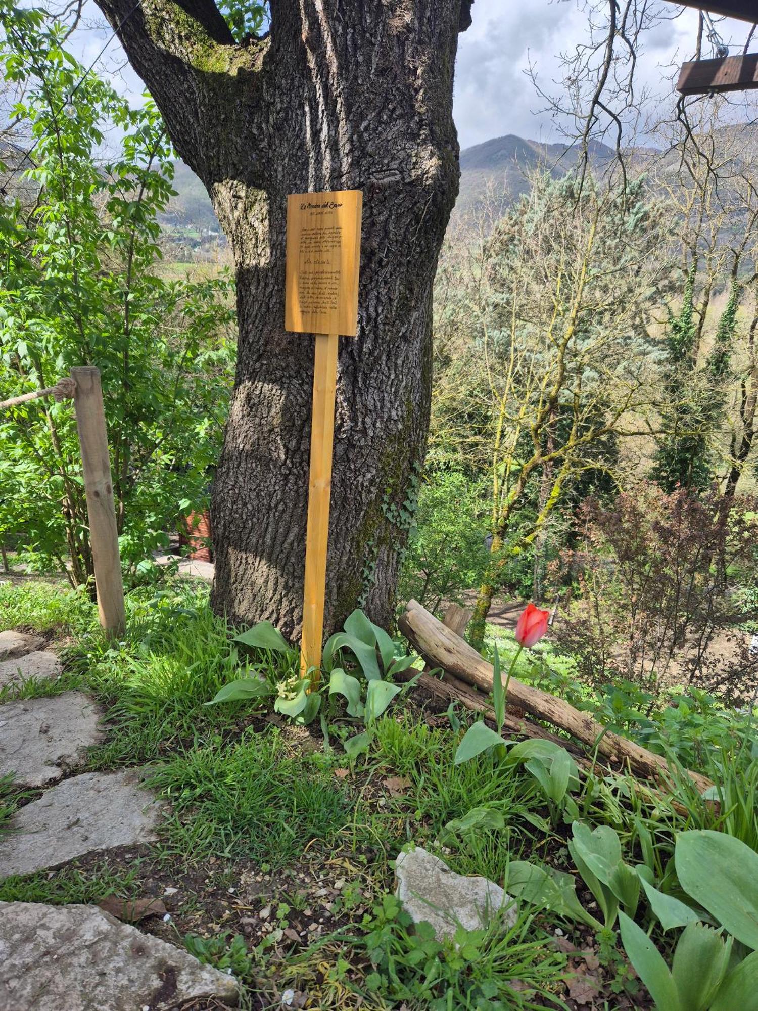 B&B Colle Di Terria Country House Contigliano Exteriér fotografie