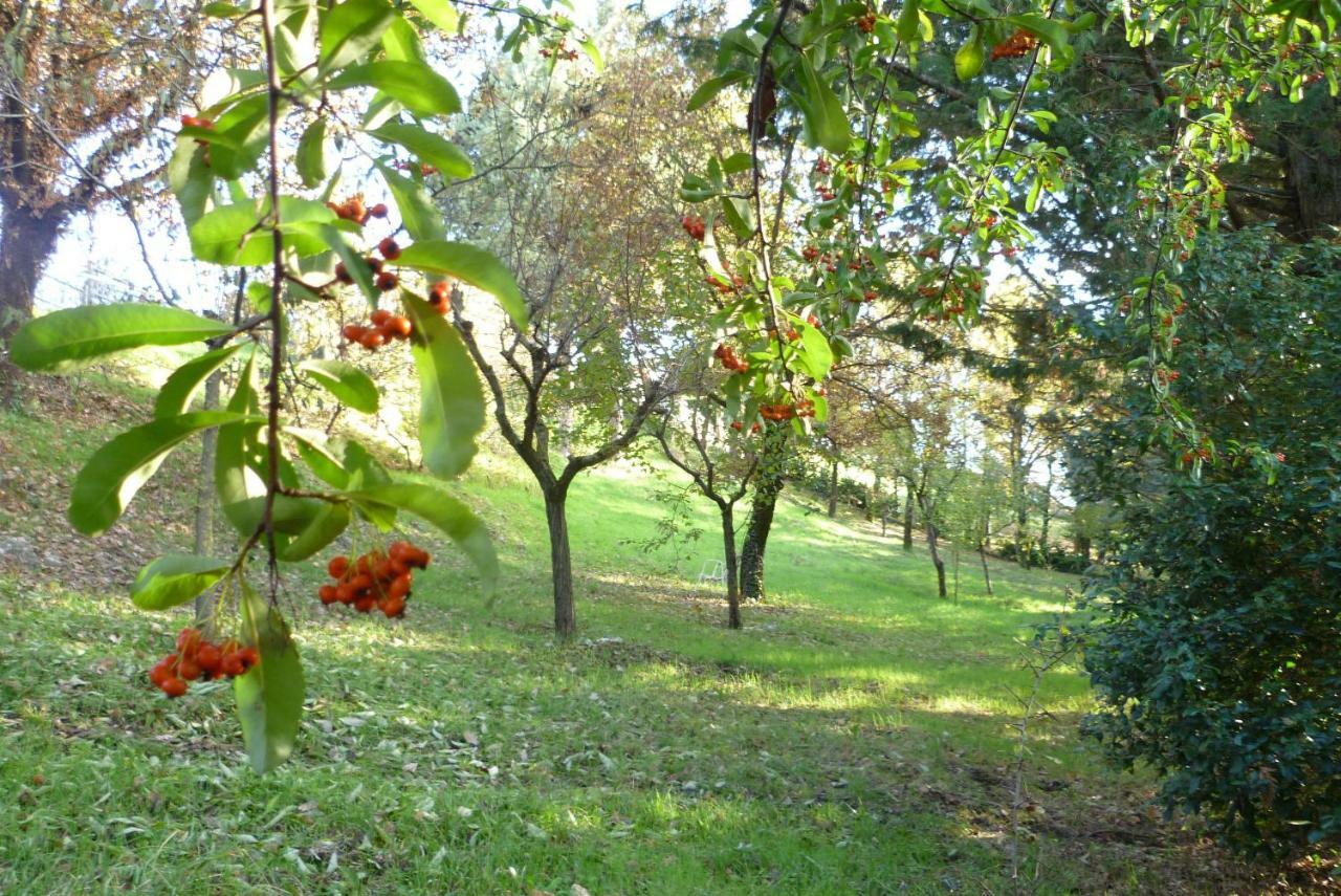 B&B Colle Di Terria Country House Contigliano Exteriér fotografie