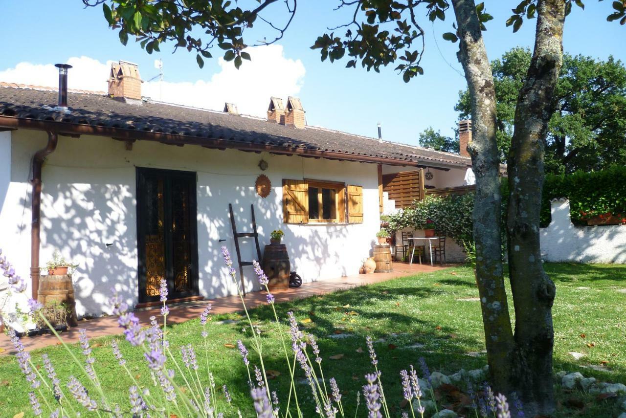 B&B Colle Di Terria Country House Contigliano Exteriér fotografie